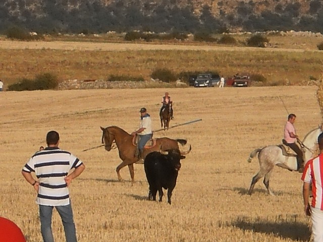 	Imágenes del encierro de Brihuega de 2010 aportadas por Alberto Martialay Téllez.