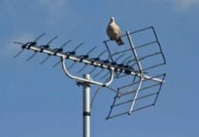Algunos tendrán que mover la antena para ver todos los canales de televisión. (Foto: La Crónic@)