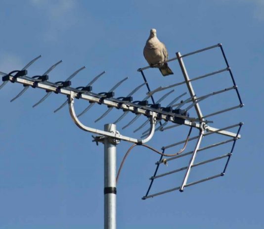Algunos tendrán que mover la antena para ver todos los canales de televisión. (Foto: La Crónic@)