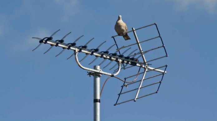 Algunos tendrán que mover la antena para ver todos los canales de televisión. (Foto: La Crónic@)