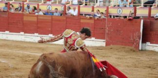Dinero público para ayudar a las ganaderías de bravo de Guadalajara