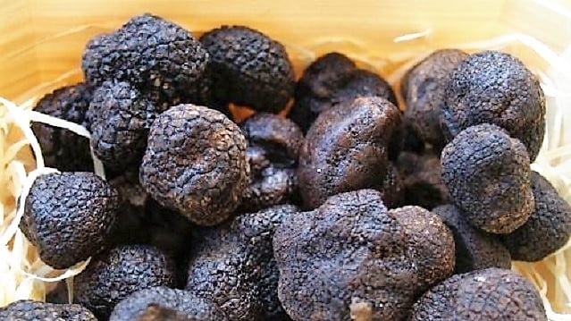 Trufa Negra (Tuber Melanosporum) - Trufas Alonso