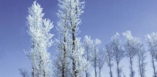 Los paisajes nevados volverán a España con los primeros días de 2021.