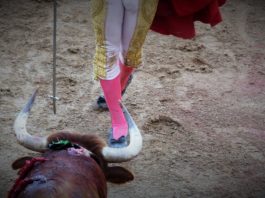 Una novillada celebrada en Guadalajara en 2019. (Foto: La Crónic@)