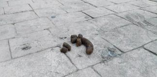 Excremento de perro en una calle de Guadalajara. (Foto: La Crónic@)