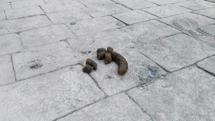 Excremento de perro en una calle de Guadalajara. (Foto: La Crónic@) Excremento de perro en una calle de Guadalajara. (Foto: La Crónic@)