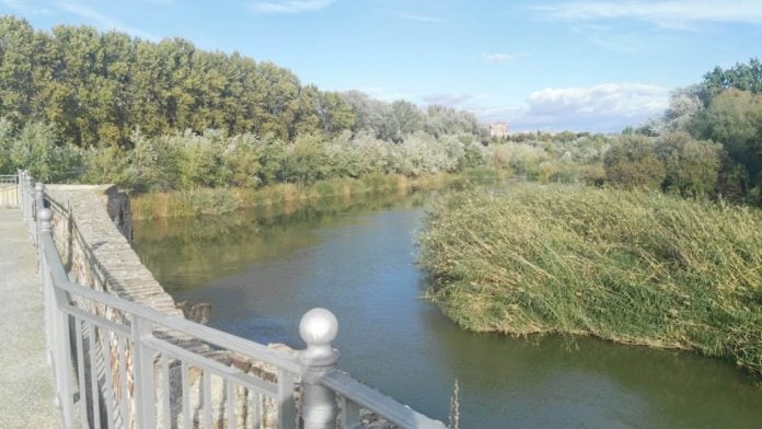 El Tajo, en Talavera. (Foto: La Crónic@)