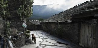 Estamos a punto de acabar con la despoblación en Guadalajara… mientras dure el verano