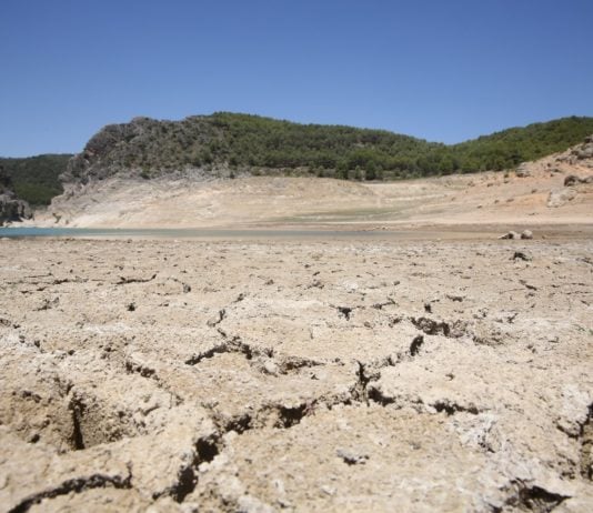Guadalajara es la provincia de España con menos regadío a pesar de aportar el agua para el trasvase.