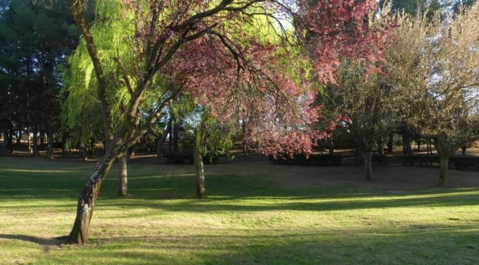 Parque en primavera