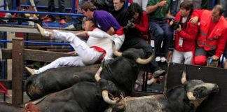 Los mejores consejos para disfrutar sin incidentes de los encierros que se avecinan en Guadalajara