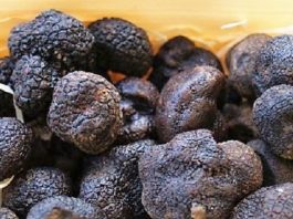 Trufa negra.