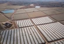 El Trasvase volverá a mandar al Levante el máximo de agua posible muy pronto Regadíos en el Levante español.