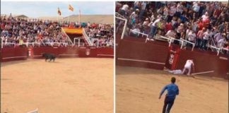 Muere de una cornada el torilero de la plaza de Benavente