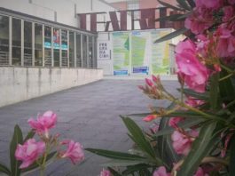 Teatro Auditorio "Buero Vallejo".
