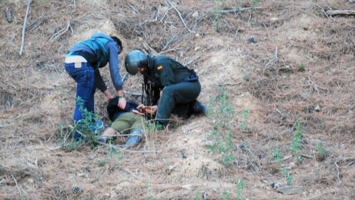 En 2019 fueron detenidos en el monte los albaneses que cuidaban una gran plantación en la Sierra Norte de Guadalajara. La actividad delictiva ha variado, pero no ha cesado. (Foto: Guardia Civil)