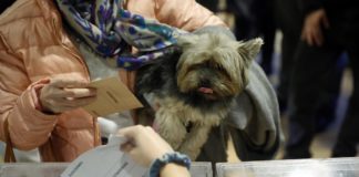 Estar en una mesa electoral es un deber ciudadano, por sorteo, del que no son pocos los que intentan zafarse.