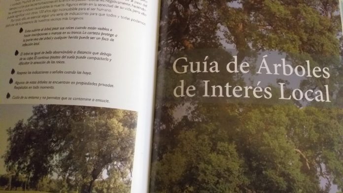 Yebes enseña a reconocer 24 especies distintas de árboles en su término municipal