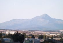 Ocejón