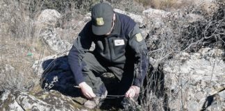 Agente medioambiental de Castilla-La Mancha retirando un lazo en el monte.