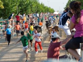 Un encierro en Marchamalo, durante las fiestas de agosto.