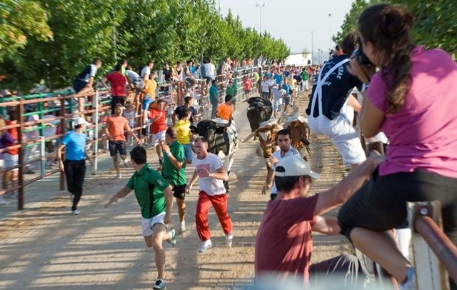 Un encierro en Marchamalo, durante las fiestas de agosto.