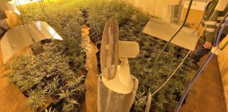 Interior del chalet dedicado en Jadraque al cultivo de marihuana.