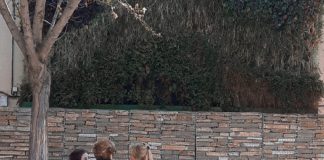 Se tapa la nariz el PP ante el jardín vertical de Azuqueca Jardín vertical de Azuqueca de Henares.