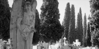Cementerio de Guadalajara. (Foto: La Crónic@)