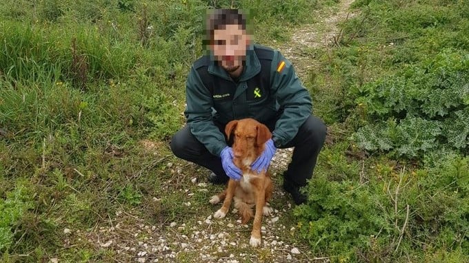 El perro, con el agente de la Guardia Civil que fue su salvador.