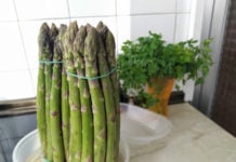 Los espárragos verdes de Guadalajara son de cine Manojos de espárragos en una cocina de Guadalajara, en abril de 2020. (Foto: La Crónic@)