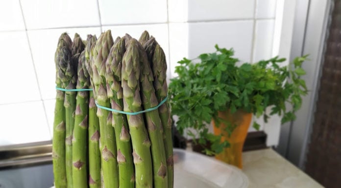 Manojos de espárragos en una cocina de Guadalajara, en abril de 2020. (Foto: La Crónic@)