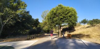 ¿A qué horas y cómo se puede salir desde este sábado a hacer deporte en la calle? Un vecino de Guadalajara corriendo cerca del río Henares, en una imagen de archivo. (Foto: La Crónic@)