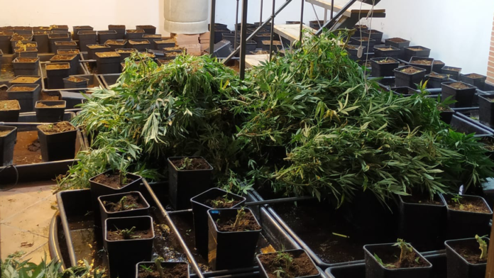 Una de las habitaciones ocupadas en el chalet de Fuentenovilla para el cultivo de marihuana.