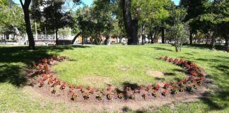 Flores recién plantadas en el Parque de la Concordia, en mayo de 2020.