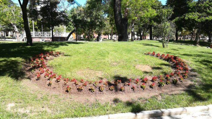 Flores recién plantadas en el Parque de la Concordia, en mayo de 2020.