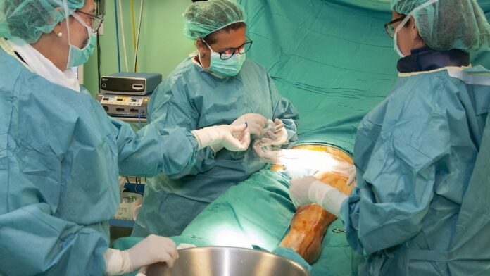 Operación de cirugía vascular en el Hospital de Guadalajara.