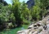 Quieren verte correr por el Alto Tajo El río Tajo, a la altura del Hundido de Armallones.