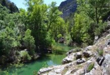 Quieren verte correr por el Alto Tajo El río Tajo, a la altura del Hundido de Armallones.