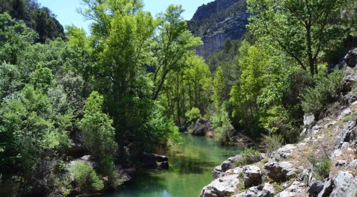 Quieren verte correr por el Alto Tajo El río Tajo, a la altura del Hundido de Armallones.