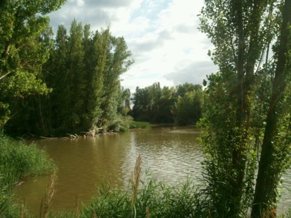 Lugar donde se encuentran el Pisuerga y el Duero.