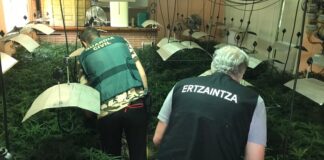 Ertzaintza y Guardia Civil, juntos en uno de los chalés de Albalate de Zorita, con la bodega reconvertida en plantación. (Foto: La Crónic@)