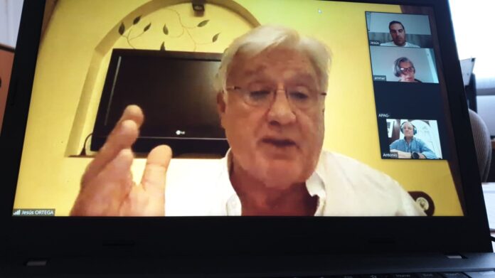 Junta directiva de FADETA, reunida de forma telemática.