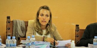 María Jesús Merino, alcaldesa de Sigüenza, durante el pleno de presupuestos de 2020.