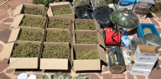 Marihuana intervenida por la Guardia Civil en El Casar.