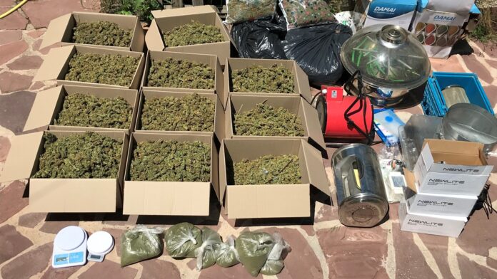 Marihuana intervenida por la Guardia Civil en El Casar.