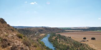 El río Tajo, cerca de Almoguera.