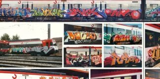 Ejemplos de arte urbano aplicado a los trenes de Cercanías.