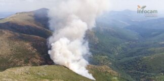 Incendio en El Cardoso de la Sierra el 13 de julio de 2020.