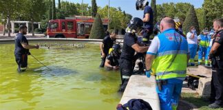 Muere succionado por una fuente ornamental de Móstoles El rescate del joven atrapado en esta fuente de Móstoles han sido muy complicados.